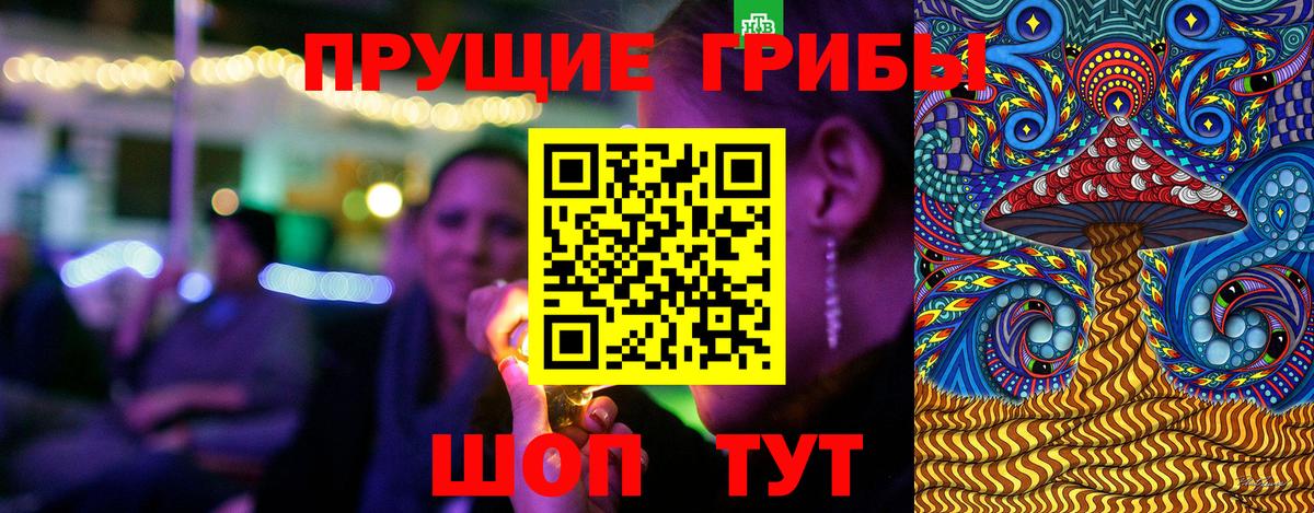 Псилоцибиновые грибы Psilocybine cubensis Кизляр